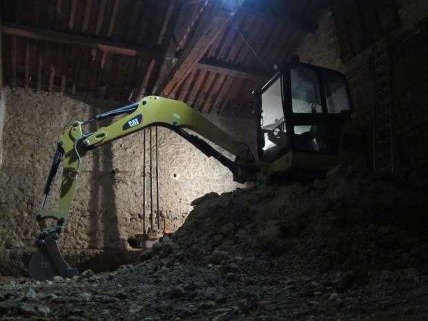 Le repos de la bête